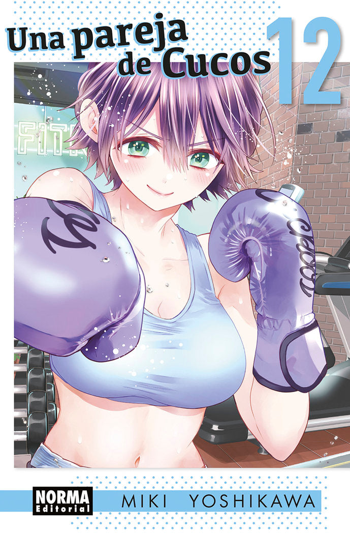 UNA PAREJA DE CUCOS 12, de YOSHIKAWA | portada del libro