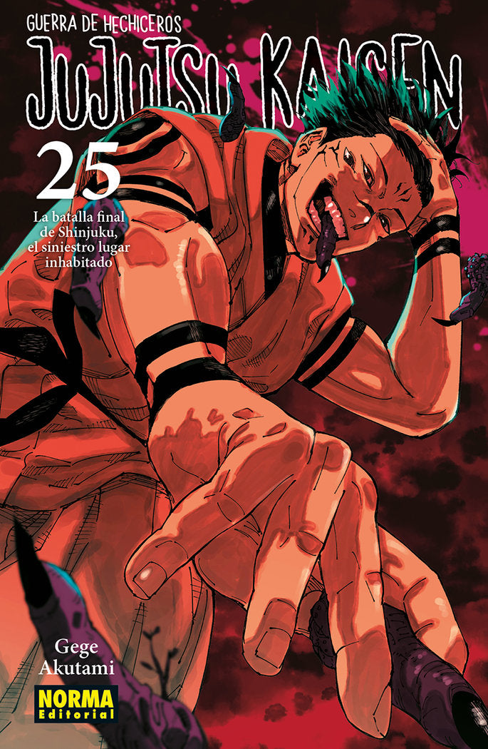 JUJUTSU KAISEN 25, de AKUTAMI | portada del libro