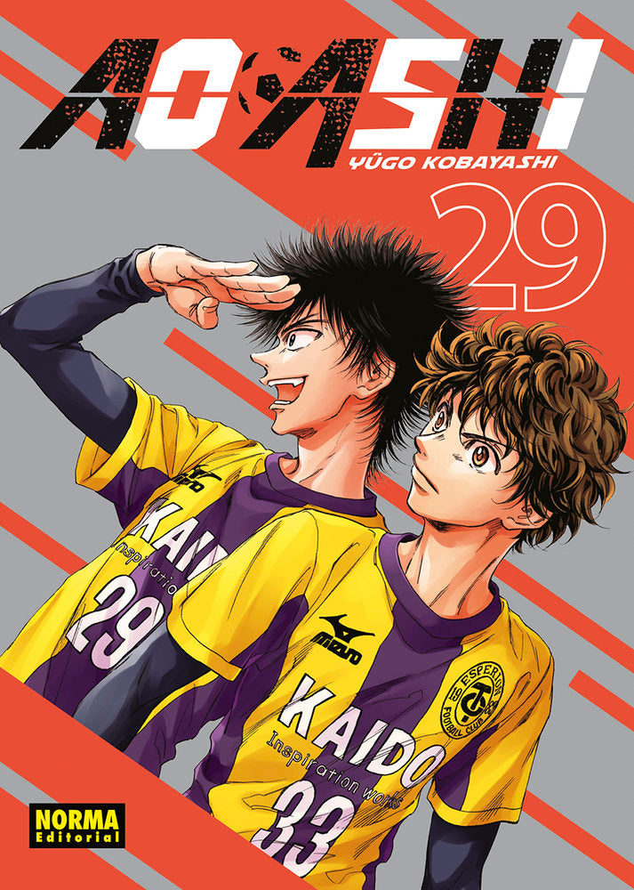 AO ASHI 29, de KOBAYASHI | portada del libro