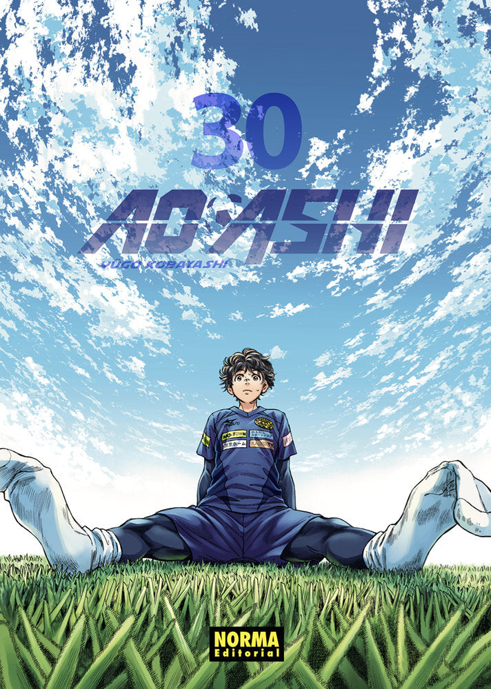 AO ASHI 30, de KOBAYASHI | portada del libro