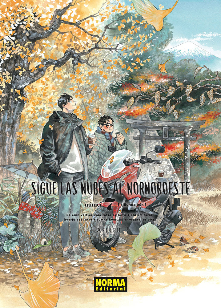 SIGUE LAS NUBES AL NORNOROESTE, de IRIE | portada del libro