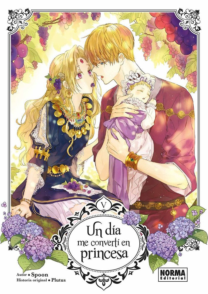 UN DIA ME CONVERTI EN PRINCESA 05, de SPOON Y PLUTUS | portada del libro