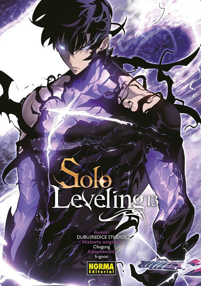 SOLO LEVELING 13, de CHUGONG#DUBU (REDICE STUDIO)#H-GOON | portada del libro