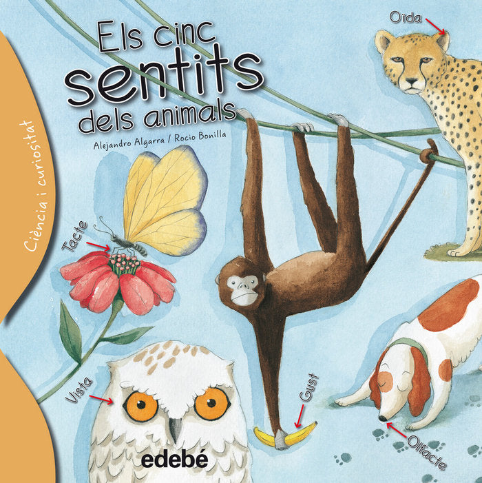 Els cinc sentits dels animals, de Algarra Pujante, Alejandro | portada del libro
