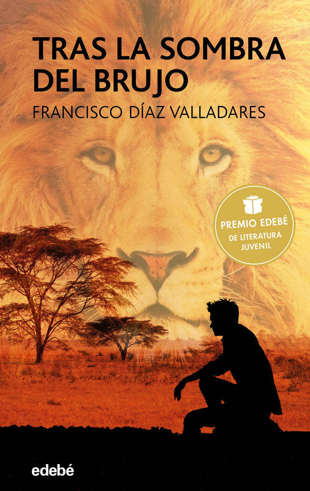 TRAS LA SOMBRA DEL BRUJO (Premio Edebé de Literatura Juvenil), de Díaz Valladares, Francisco | portada del libro