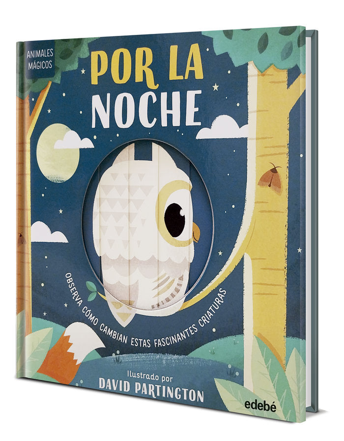 ANIMALES MAGICOS EN LA NOCHE, de CLARK, NEIL | portada del libro