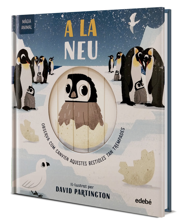 MAGIA ANIMAL A LA NEU, de CLARK, NEIL | portada del libro