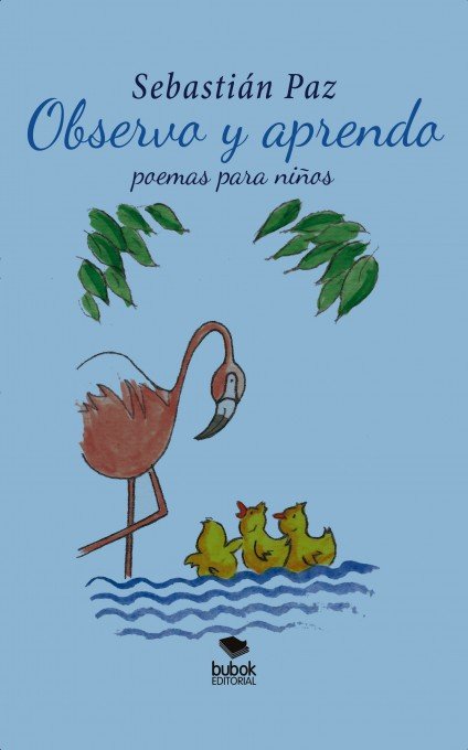 Observo y aprendo, de Paz, Sebastián | portada del libro