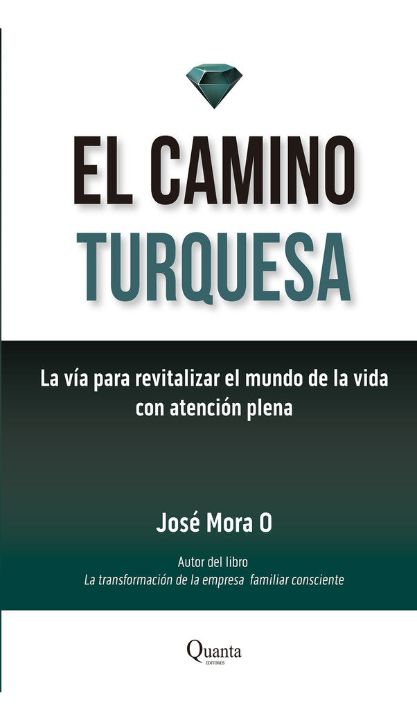 EL CAMINO TURQUESA, de Mora, José | portada del libro