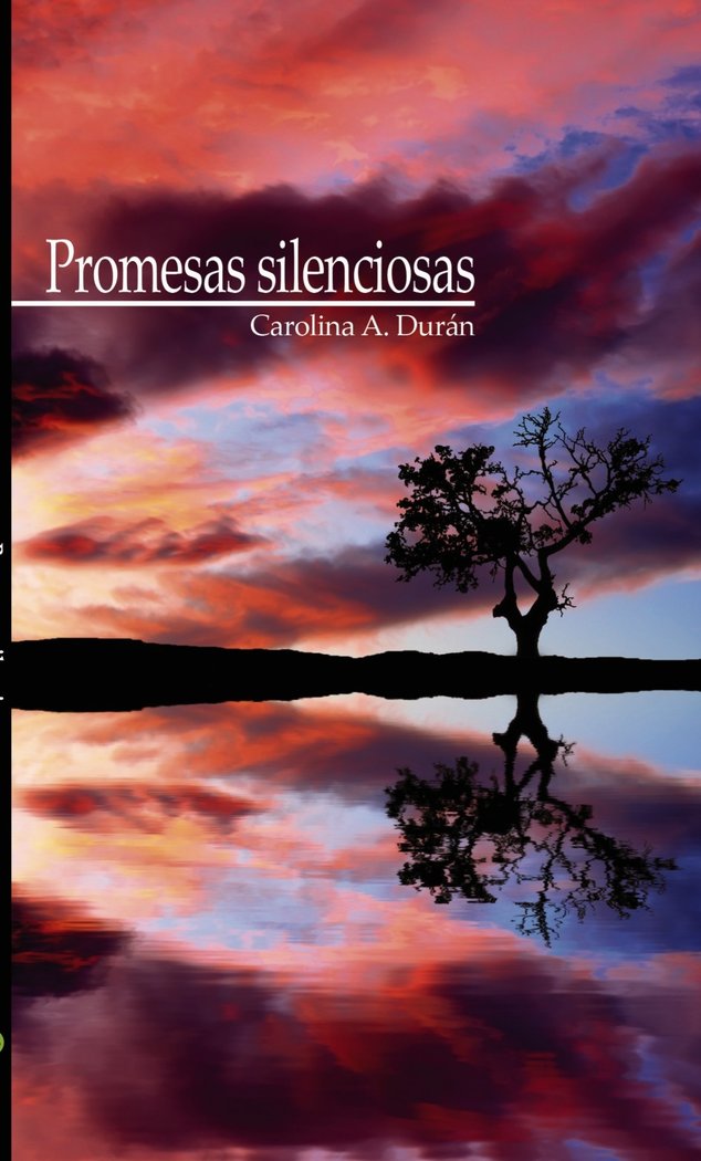 Promesas silenciosas, de Durán A., Carolina | portada del libro