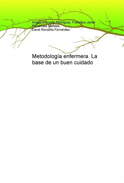 Metodología enfermera. La base de un buen cuidado, de Fernández Revuelta, David | portada del libro