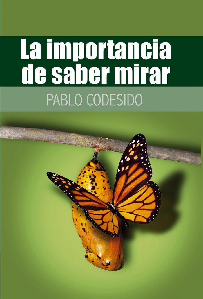 La importancia de saber mirar..., de Pablo Codesido | portada del libro