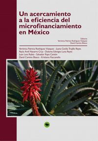 Un acercamiento a la eficiencia del microfinanciamiento en México, de Patricia,Verónica | portada del libro