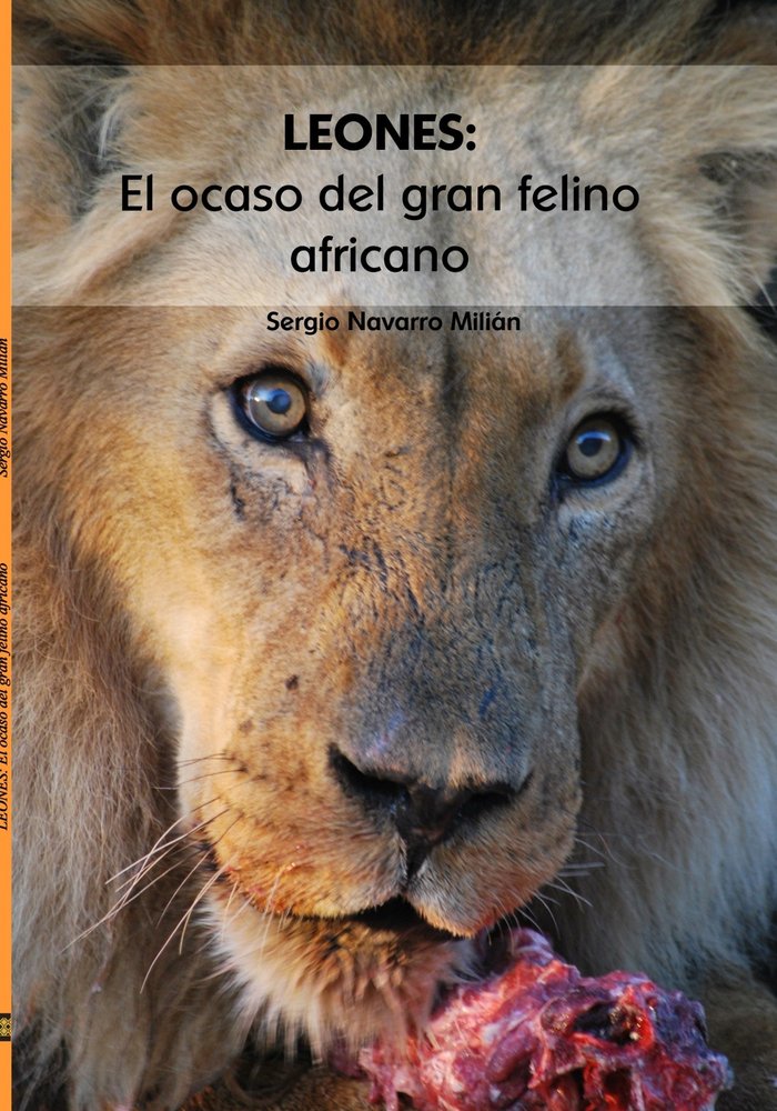 LEONES: El ocaso del gran felino africano, de Navarro Milián, Sergio | portada del libro