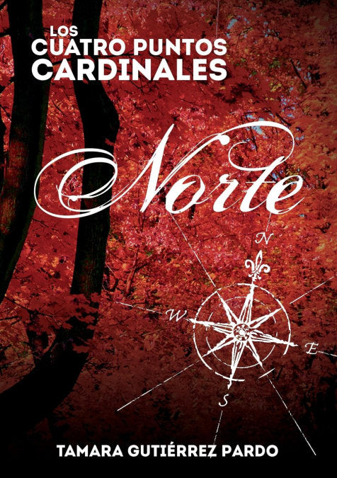 Los Cuatro Puntos Cardinales. Norte (1ª novela de la saga), de Pardo Gutiérrez, Tamara | portada del libro