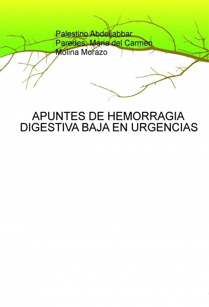 APUNTES DE HEMORRAGIA DIGESTIVA BAJA EN URGENCIAS, de Morazo Del Carmen Molina, Maria | portada del libro