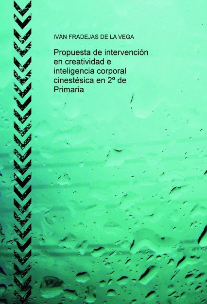 Propuesta de intervención en creatividad e inteligencia corporal cinestésica en 2º de Primaria, de VEGA FRADEJAS DE LA, IVÁN 