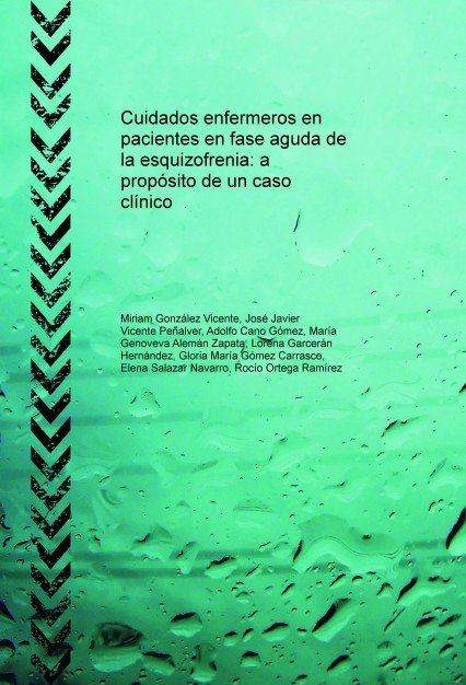 Cuidados enfermeros en pacientes en fase aguda de la esquizofrenia: a propósito de un caso clínico, de Vicente González, Miri