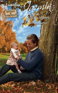 Un bello amor, de MEIER, SUSAN | portada del libro