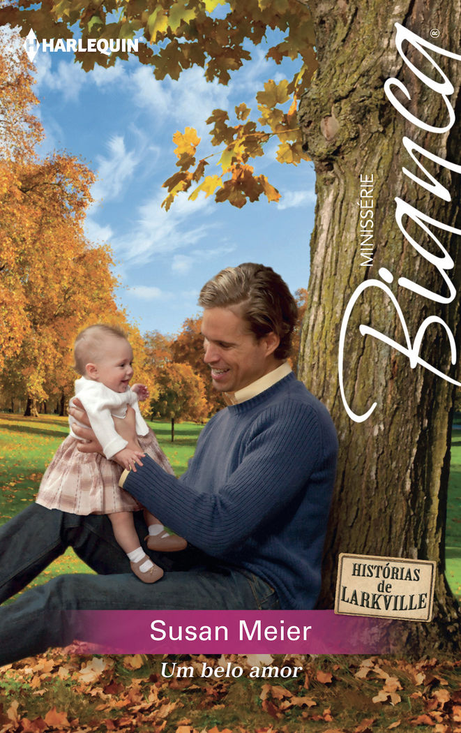 Um belo amor, de MEIER, SUSAN | portada del libro
