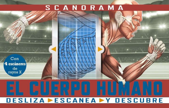 Scanorama. El cuerpo humano, de CLAYBOURNE, ANNA | portada del libro