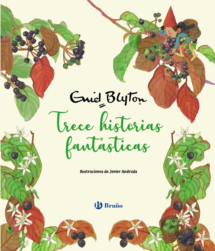 ENID BLYTON TRECE HISTORIAS FANTASTICAS, de BLYTON, ENID | portada del libro