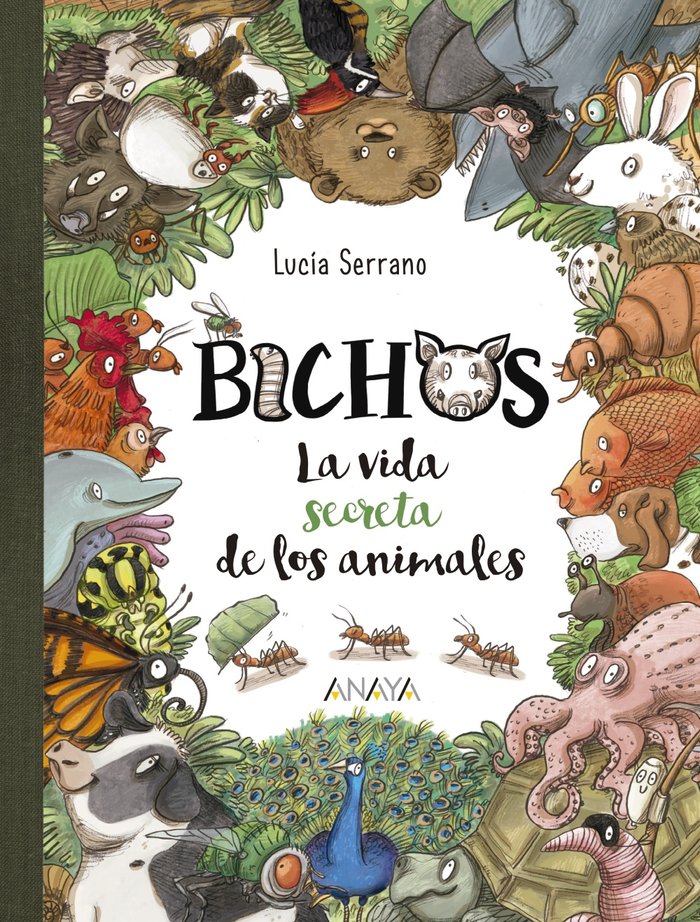 Bichos, de Serrano, Lucía | portada del libro