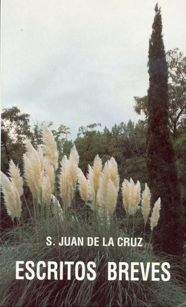 Escritos breves, de San Juan de la Cruz | portada del libro