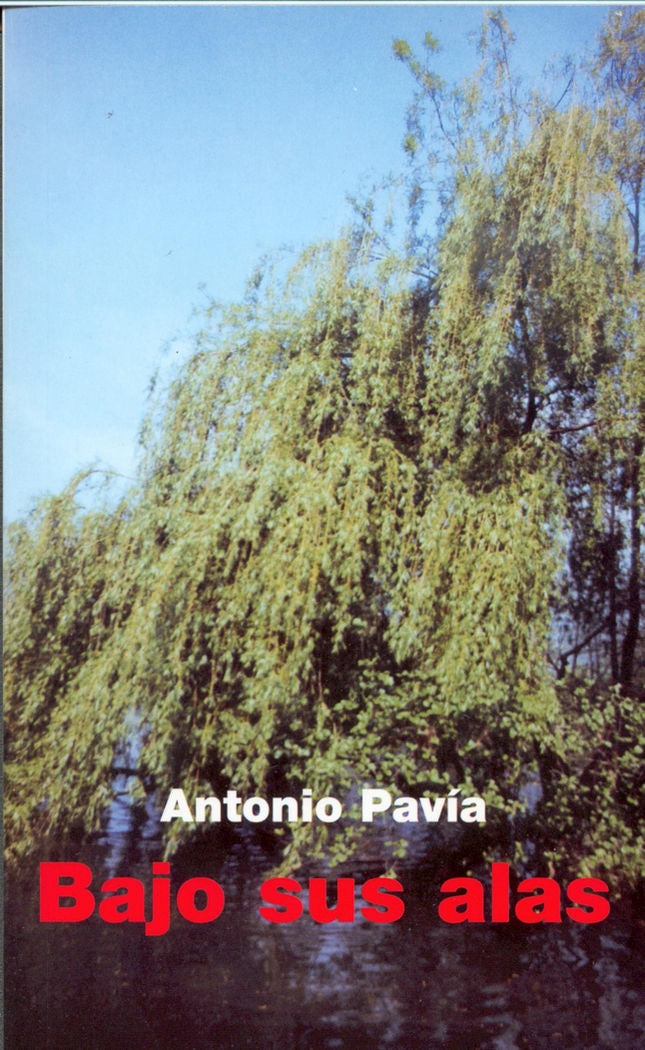 Bajo sus alas, de Pavía | portada del libro