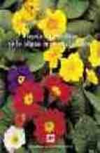 Plagasáyáenfermedadesádeálasáplantasáenámacetaáconáflores, de THE AMERICAN PHYTOPATHOLOGICAL SOCIETY | portada del libro