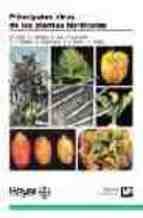 Principalesávirusádeálasáplantasáhortícolasáá, de CONTI , M. | portada del libro