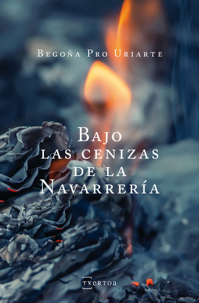 Bajo las cenizas de la Navarrería, de Pro Uriarte, Begoña | portada del libro