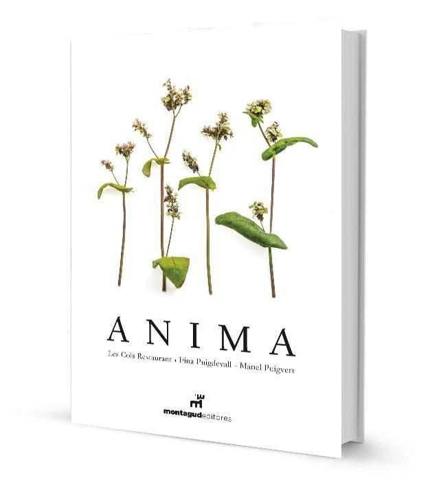 Anima, de Puigdevall Nogareda, Fina | portada del libro