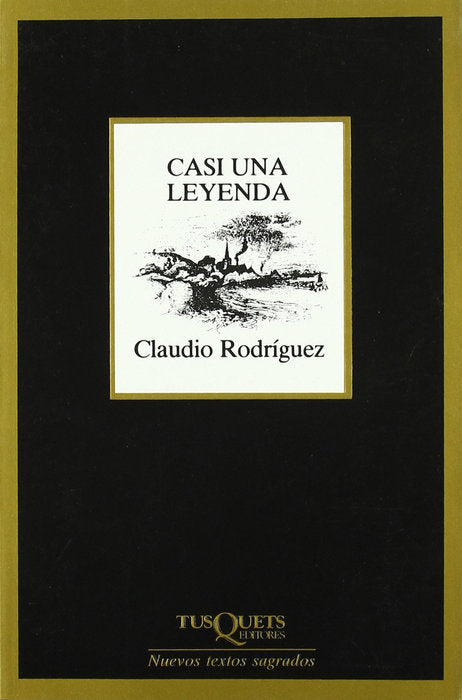 Casi una leyenda, de Rodríguez, Claudio | portada del libro