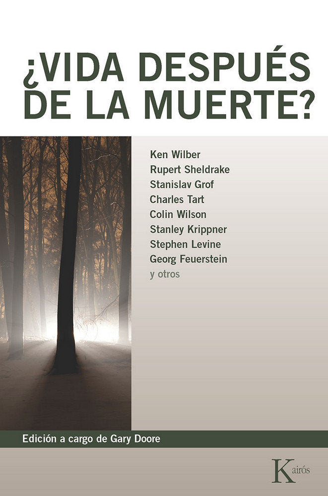 ¿Vida después de la muerte?, de Varios autores | portada del libro