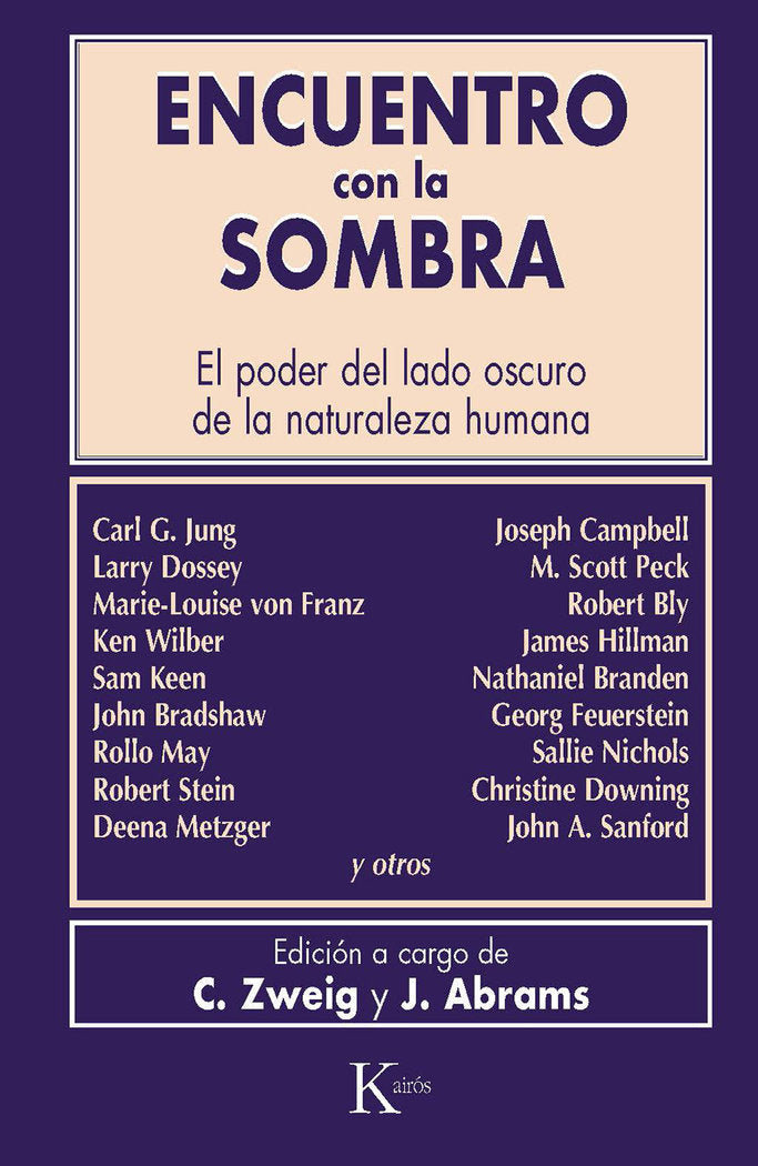 Encuentro con la sombra | portada del libro