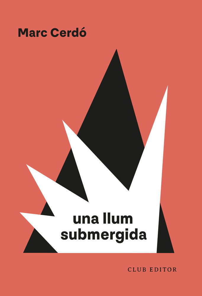 LLUM SUBMERGIDA, UNA, de CERDO, MARC | portada del libro