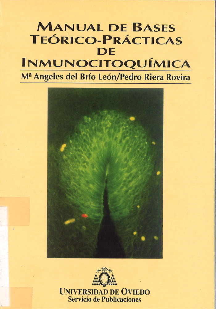 Manual de BCses teórico-prácticas de inmunocitoquímica, de Brío León | portada del libro