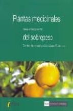 Plantas medicinales para el tratamiento del sobrepeso, de Varios autores | portada del libro