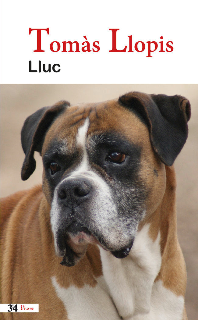 Lluc, de Llopis i Guardiola, Tomàs | portada del libro