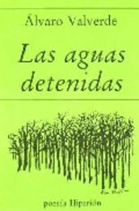Las aguas detenidas, de Valverde | portada del libro