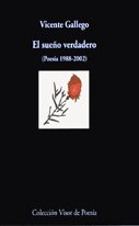El sueño verdadero, de Gallego Barredo, Vicente | portada del libro