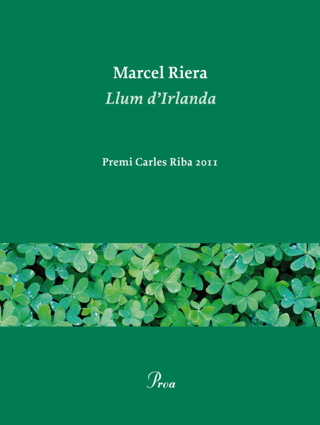 Llum d'Irlanda, de Riera Bou | portada del libro