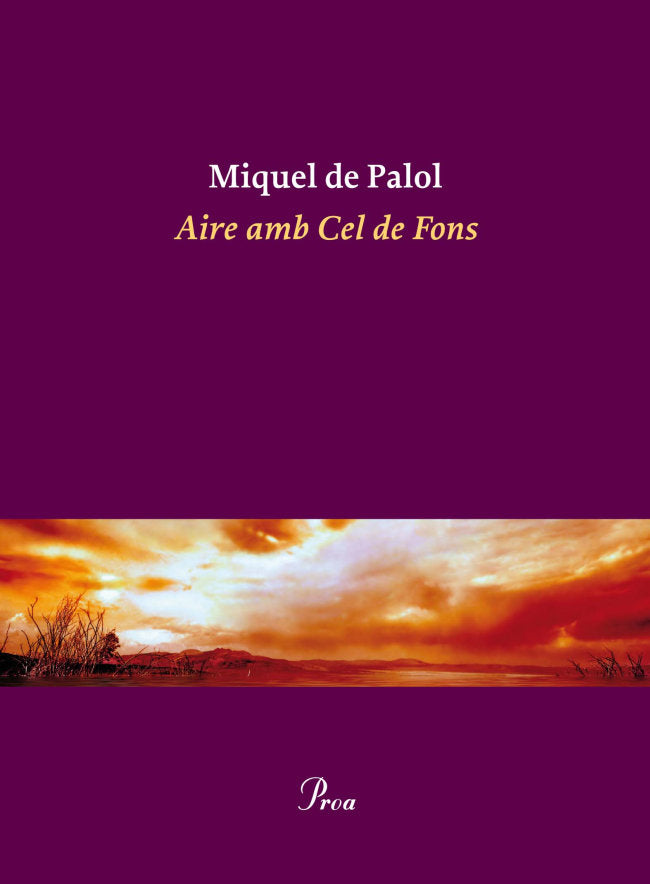Aire amb Cel de Fons, de De Palol I Muntanyola | portada del libro