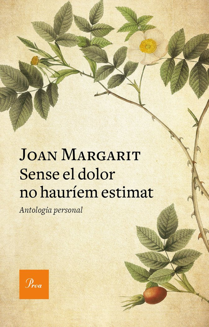 Sense el dolor no hauríem estimat, de Margarit, Joan | portada del libro