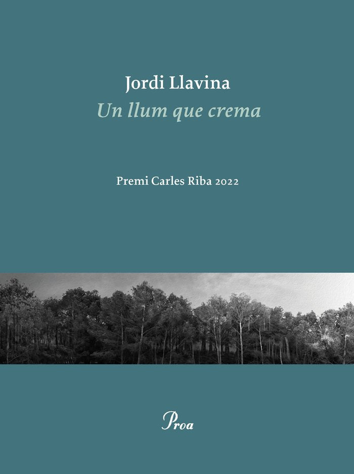 Un llum que crema, de JORDI LLAVINA | portada del libro