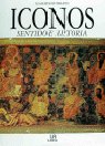 Iconos, sentido e historia, de ZIBAWI | portada del libro