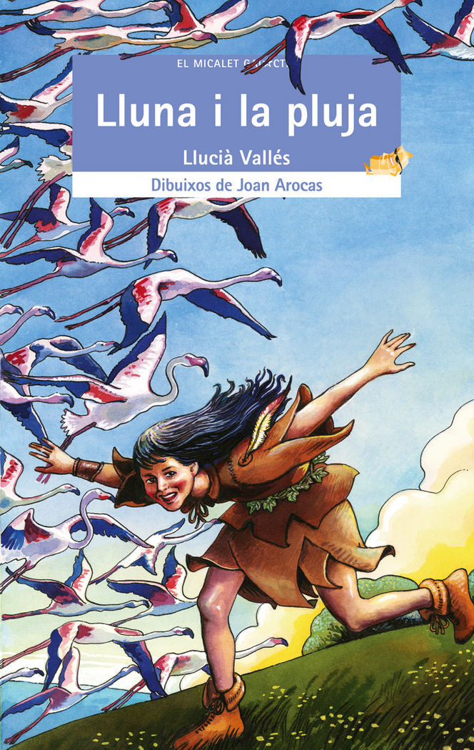 Lluna i la pluja, de Llucià Vallés | portada del libro