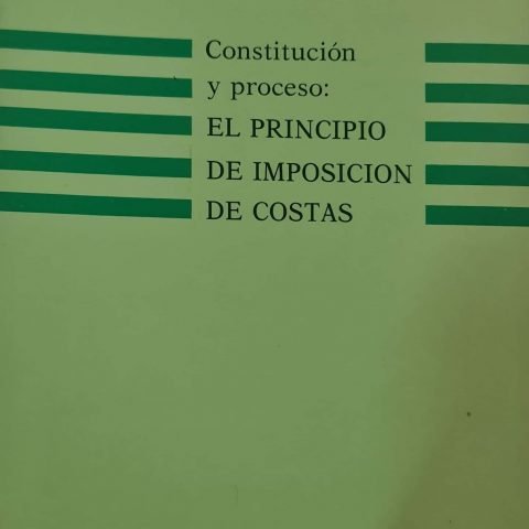 CONSTITUCION Y PROCESO EL PRINCIPIO DE IM, de LOZANO-HIGUERO PINTO, MANUEL | portada del libro