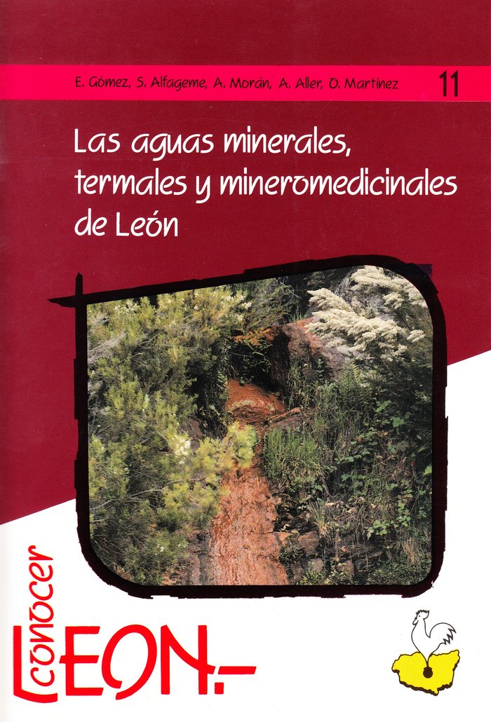 LAS AGUAS MINERALES TERMALES Y MINEROMEDIO, de AA.VV. | portada del libro